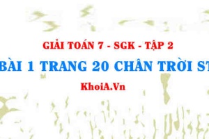 Bài 1 trang 20 Toán 7 Chân trời sáng tạo Tập 2